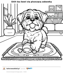 Shih tzu bawi się piszczącą zabawką — kolorowanka do wydruku dla dzieci