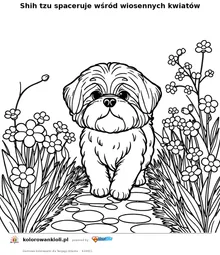 Shih tzu spaceruje wśród wiosennych kwiatów — kolorowanka do wydruku dla dzieci