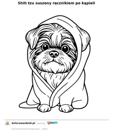 Shih tzu suszony ręcznikiem po kąpieli — kolorowanka do wydruku dla dzieci