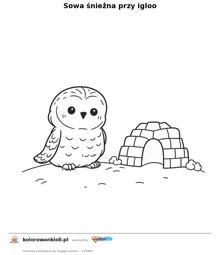 Sowa śnieżna przy igloo — kolorowanka do wydruku dla dzieci