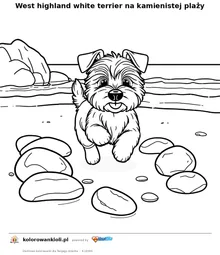 West highland white terrier na kamienistej plaży — kolorowanka do wydruku dla dzieci