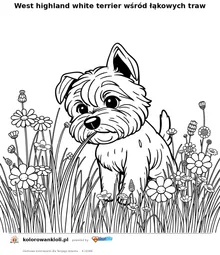 West highland white terrier wśród łąkowych traw — kolorowanka do wydruku dla dzieci