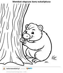 Wombat obgryza korę eukaliptusa — kolorowanka do wydruku dla dzieci