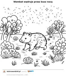 Wombat wędruje przez busz nocą — kolorowanka do wydruku dla dzieci