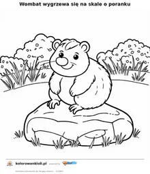 Wombat wygrzewa się na skale o poranku — kolorowanka do wydruku dla dzieci