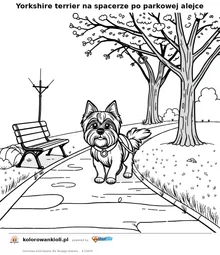 Yorkshire terrier na spacerze po parkowej alejce — kolorowanka do wydruku dla dzieci