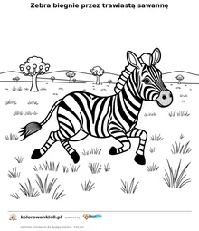 Zebra biegnie przez trawiastą sawannę — kolorowanka do wydruku dla dzieci