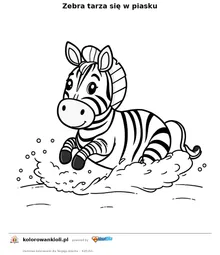 Zebra tarza się w piasku — kolorowanka do wydruku dla dzieci