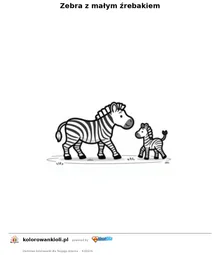Zebra z małym źrebakiem — kolorowanka do wydruku dla dzieci